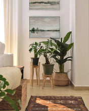 Load image into Gallery viewer, Plant Stands Petite
