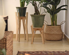 Load image into Gallery viewer, Plant Stands Petite