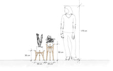 Load image into Gallery viewer, Plant Stands Petite