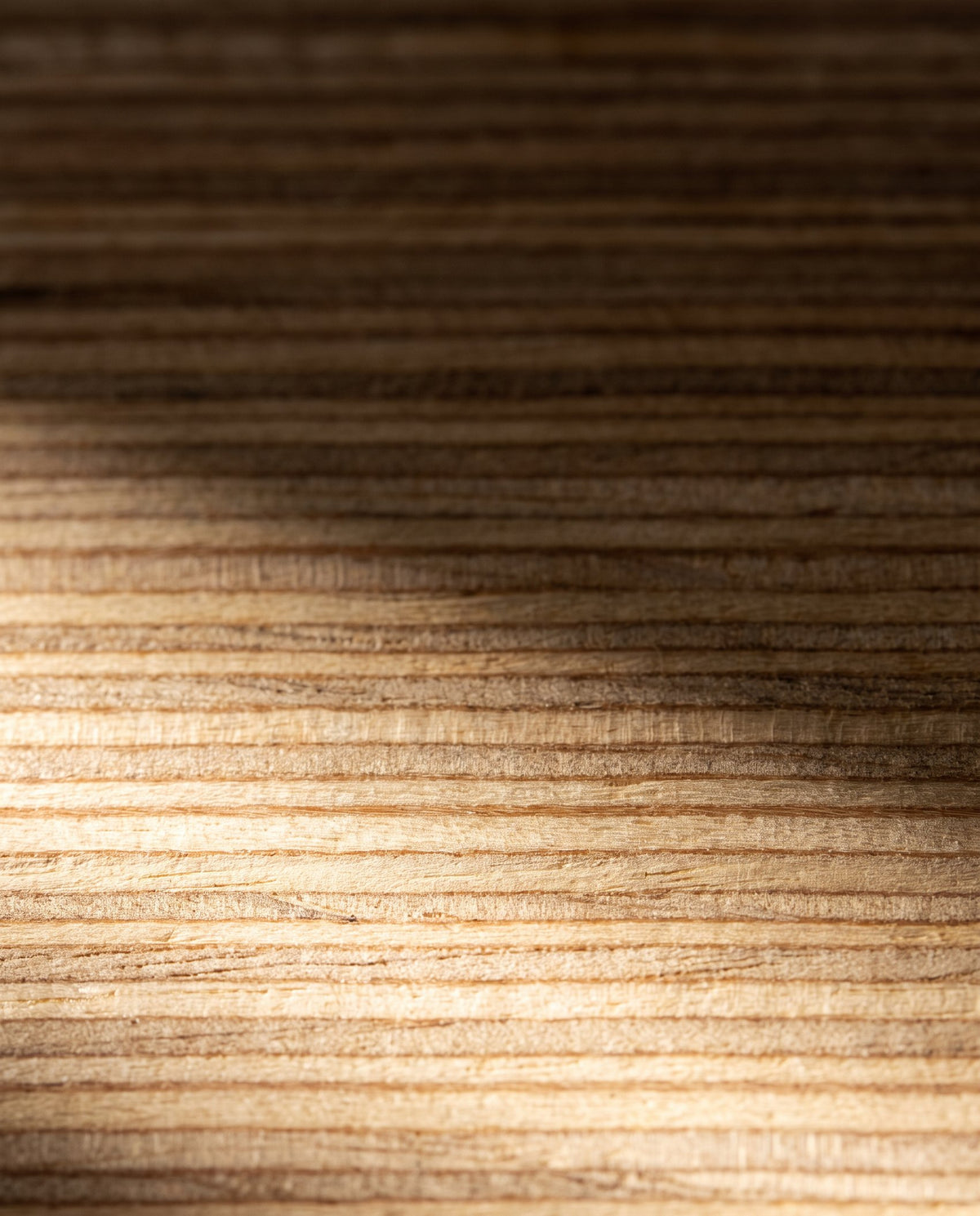 Render: close detail of the stacked laminations along the cut edge of birch plywood